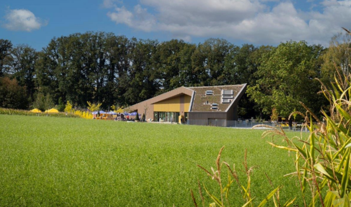Ein Haus steht auf einer Wiese im Sonnenschein