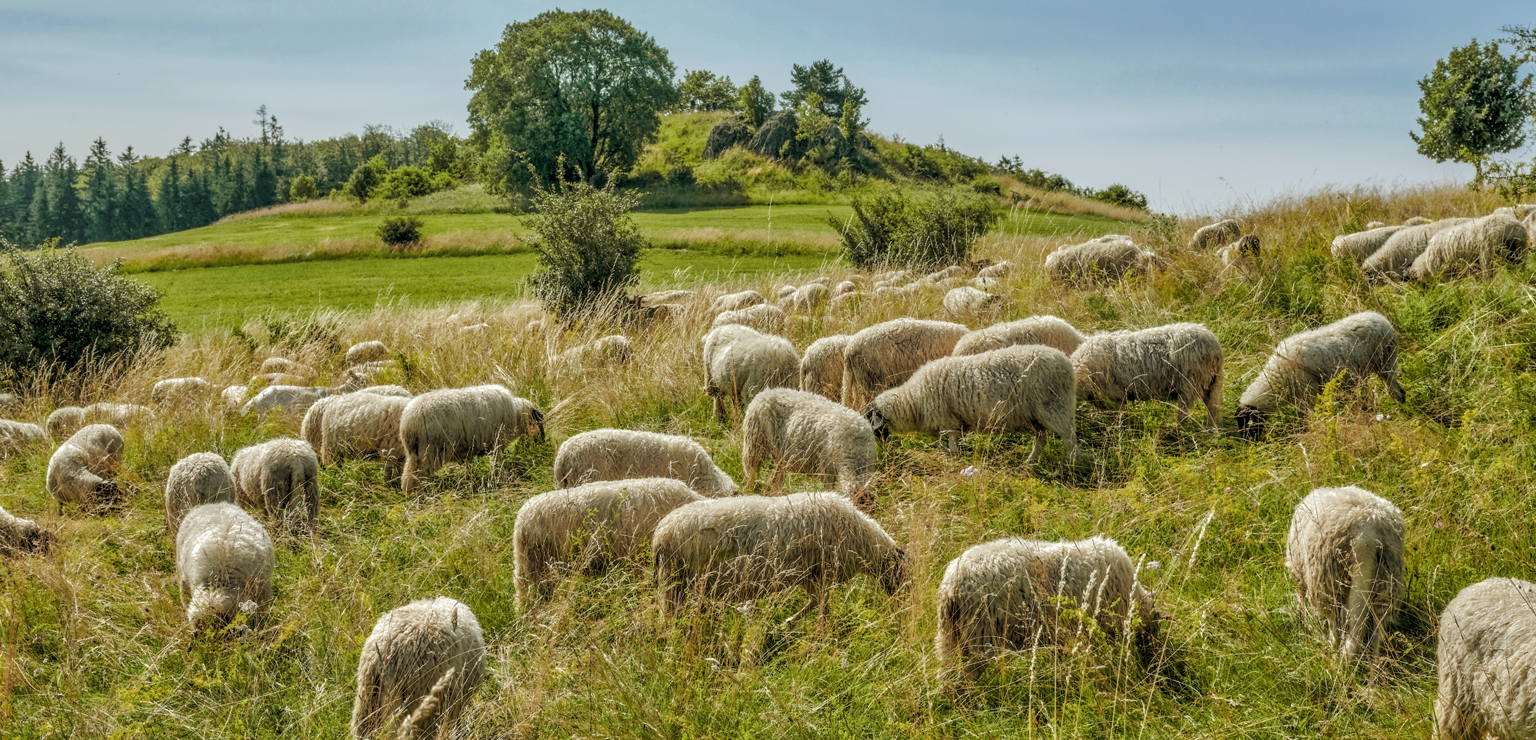 Rhön entdecken - Tourismus Fulda