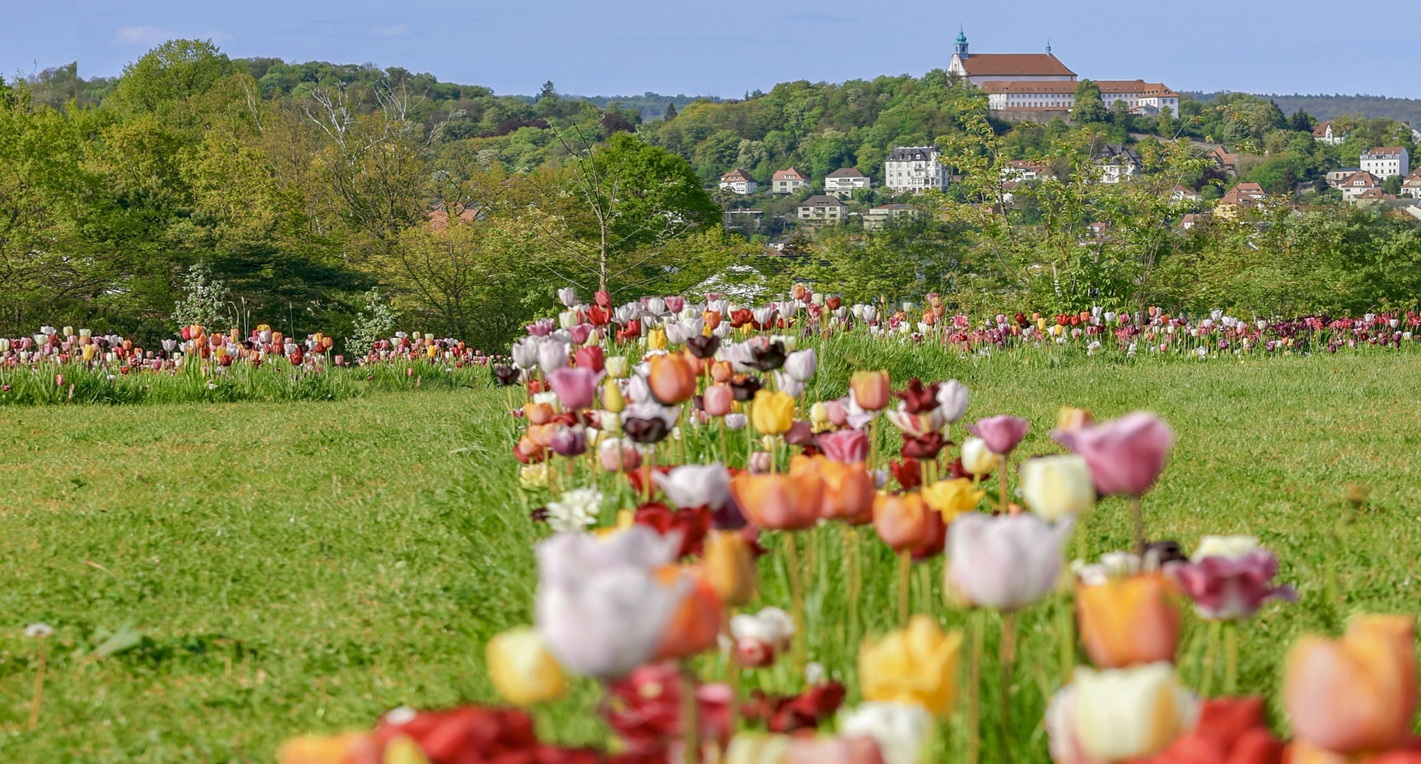 Landesgartenschau 2.023 - Tourismus Fulda
