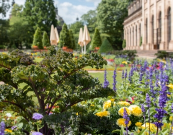 Parks & Gärten - Tourismus Fulda