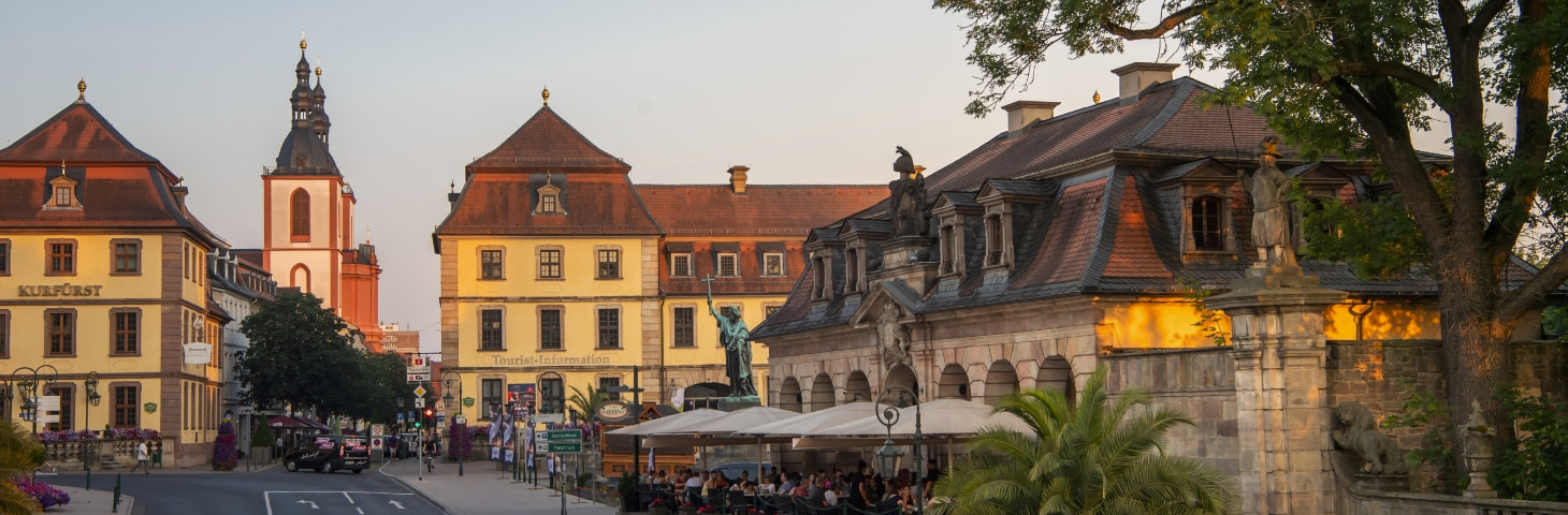 Ein Bild von der Fuldaer Skyline hinter einer grünen Wiese mit großem Strauch am linken Rank.